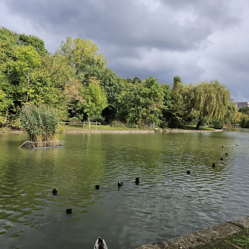 Beckon Lake1