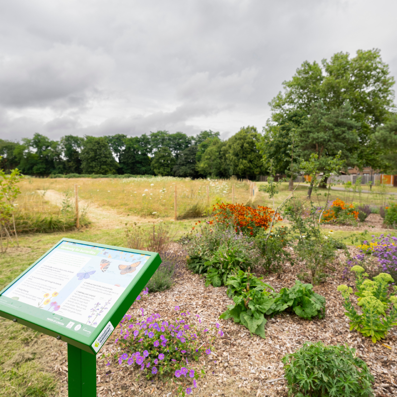 Beckton Meadows
